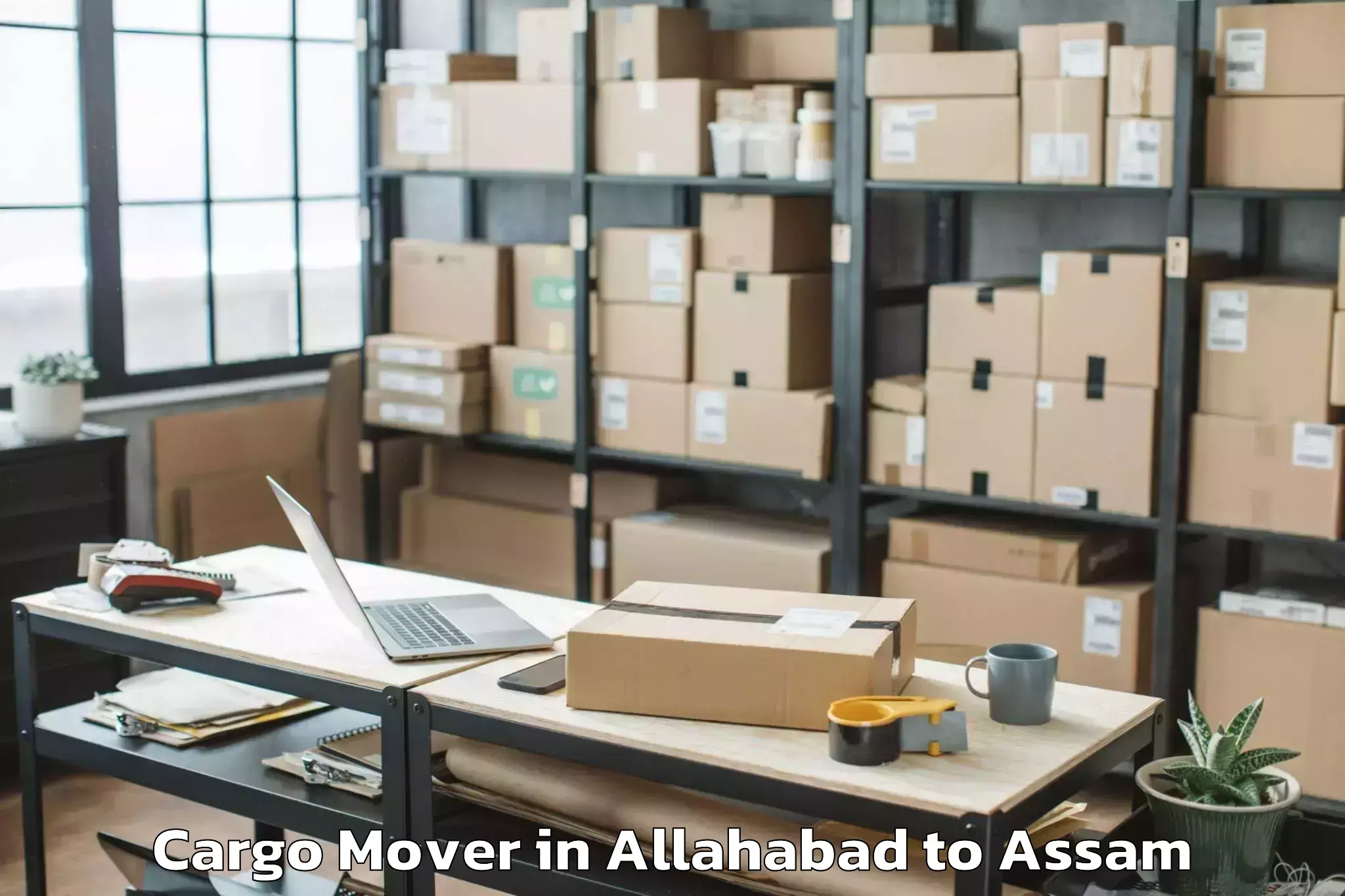 Easy Allahabad to Biswanath Chariali Cargo Mover Booking